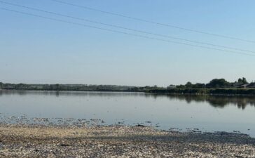 Мор риби на Дніпропетровщині
