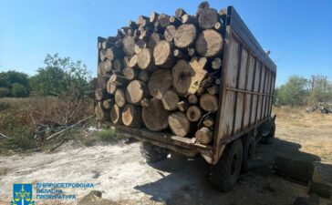 На Дніпропетровщині полюють на «чорних лісорубів»